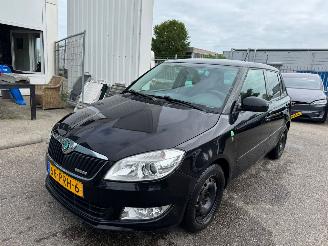 Vaurioauto  passenger cars Skoda Fabia 1.2 TDI Greenline 2011/3