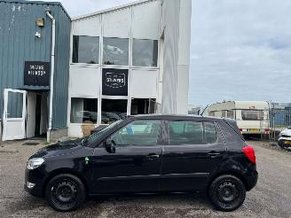 Skoda Fabia 1.2 TDI Greenline picture 2