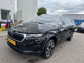 Voiture accidenté Skoda Karoq 1.5 TSI ACT Business Edition Plus AUTOMAAT 2023/4