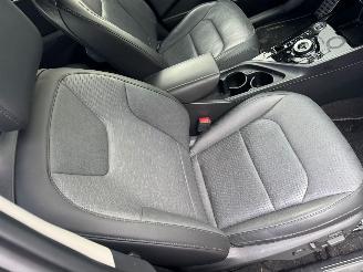 Kia Niro EV ExecutiveLine 64.8 kWh picture 14