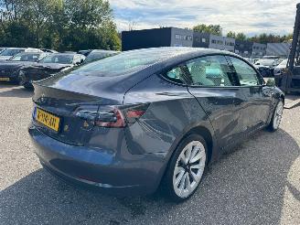 Tesla Model 3 Standard RWD Plus 60 kWh picture 5