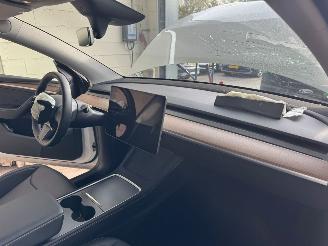 Tesla Model Y Long Range RWD 75 kWh picture 10