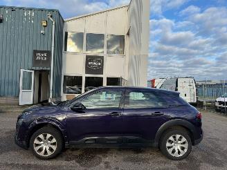 Citroën C4 cactus 1.2 PureTech Business 110.582 KM picture 2