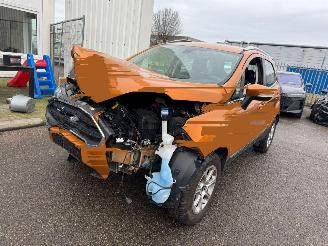škoda osobní automobily Ford EcoSport 1.0 EcoBoost Titanium 2018/3