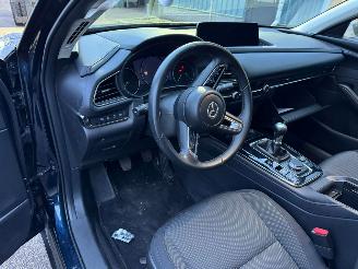 Mazda CX-30 2.0 e-SkyActiv-G M Hybrid Homura picture 9