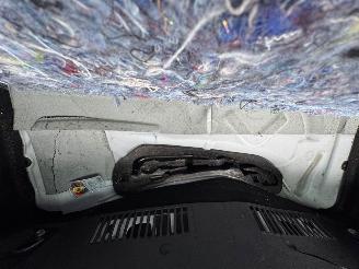 Renault Clio 1.6 AUTOMAAT 220 PK R.S. Trophy picture 9