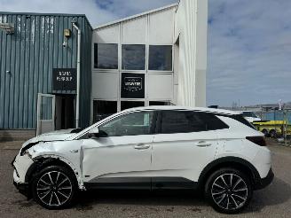 Opel Grandland X 1.6 Turbo Hybrid Business Executive picture 2