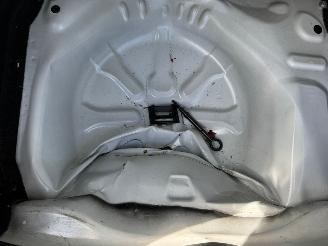 Citroën C4 cactus 1.2 PureTech Shine picture 9