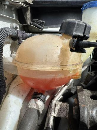 Citroën C4 cactus 1.2 PureTech Shine picture 8