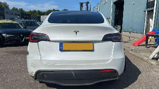 Tesla Model Y RWD 58 kWh picture 4