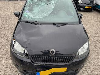 Skoda Citigo 1.0 Greentech Monte Carlo picture 7
