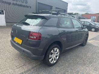 Citroën C4 cactus 1.2|AUTOMAAT  e-VTi Business picture 6