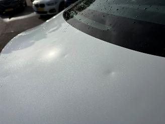 Tesla Model 3 Standard RWD Plus 60 kWh picture 9