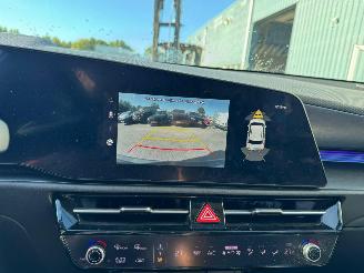 Kia Niro EV ExecutiveLine 64.8 kWh picture 14