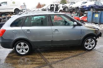 Skoda Fabia cross picture 6