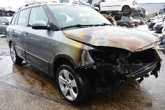 Skoda Fabia cross picture 7