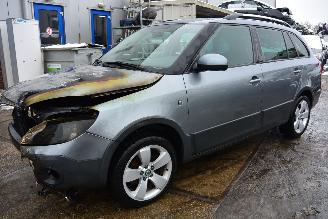 Skoda Fabia cross picture 2