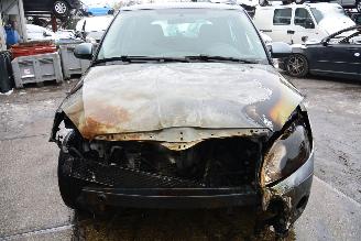 Skoda Fabia cross picture 1