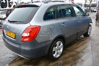 Skoda Fabia cross picture 5