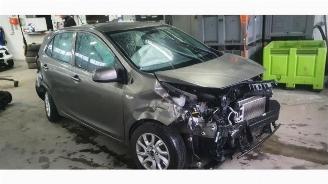 rozbiórka samochody osobowe Kia Picanto Picanto (JA), Hatchback, 2017 1.0 12V 2019/3