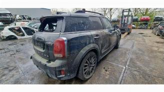 Mini Countryman Countryman (F60), SUV, 2016 1.5 TwinPower Turbo 12V Cooper SE ALL4 picture 6