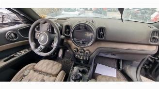 Mini Countryman Countryman (F60), SUV, 2016 1.5 TwinPower Turbo 12V Cooper SE ALL4 picture 9