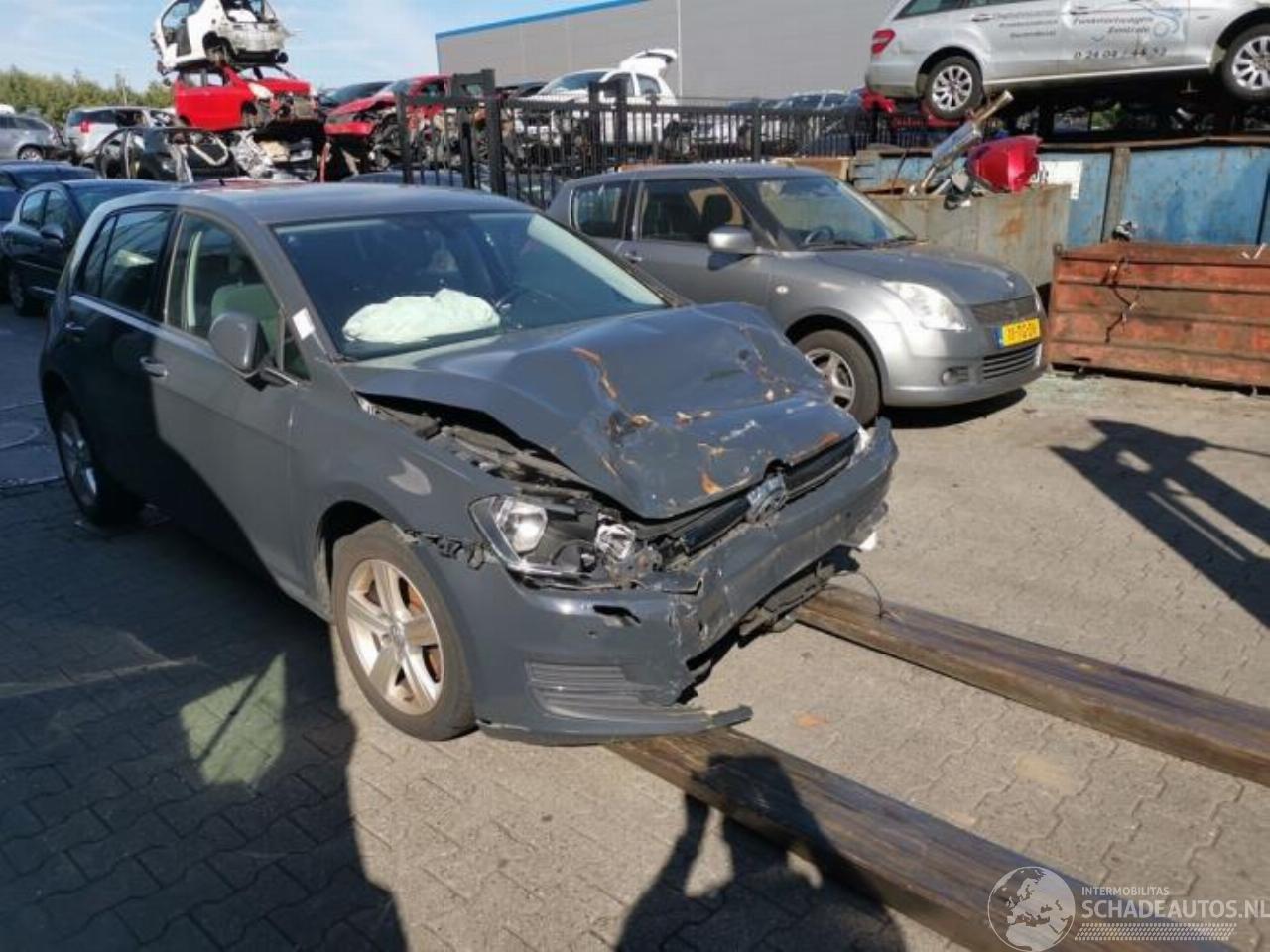 Volkswagen Golf Golf VII (AUA), Hatchback, 2012 / 2021 1.6 TDI 16V