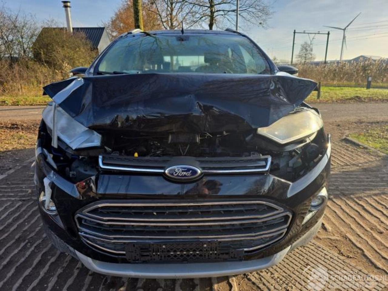 Ford EcoSport EcoSport (JK8), SUV, 2013 1.0 EcoBoost 12V 125