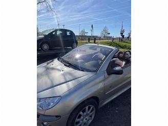 Peugeot 206 206 CC (2D), Cabrio, 2000 / 2007 1.6 16V picture 13
