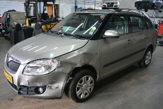 Skoda Fabia  picture 1