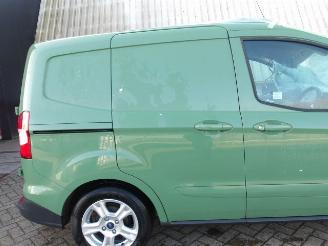 Ford Transit Tourneo picture 17