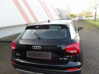 Audi Q2  picture 17