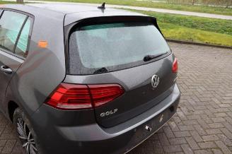 Volkswagen Golf Golf VII (AUA), Hatchback, 2012 / 2021 1.5 TSI Evo BlueMotion 16V picture 31