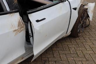 Tesla Model 3 Model 3, Sedan, 2017 Long Range, Performance AWD picture 20