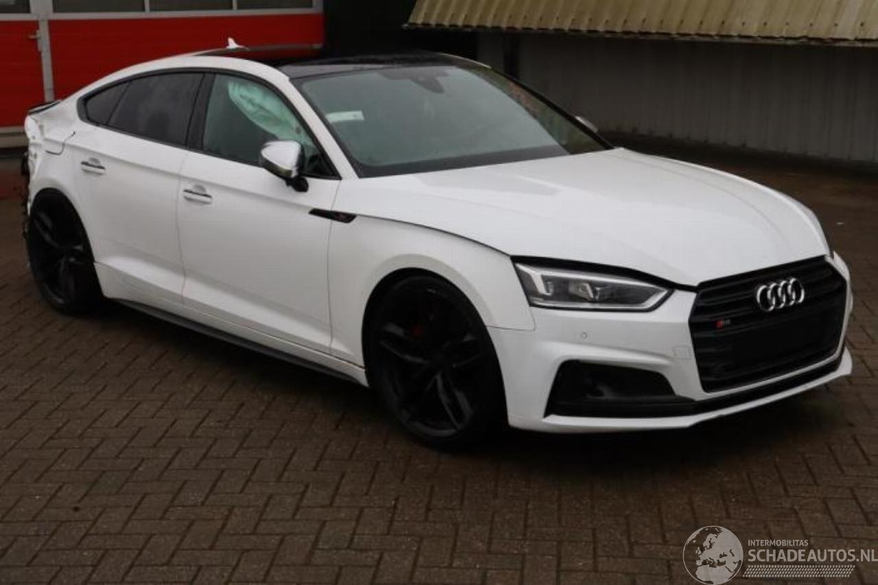 Audi S5 S5 Sportback (F5A/F5F), Hatchback 5-drs, 2016 3.0 TFSI V6 24V