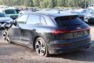 Audi E-tron e-tron (GEN), SUV, 2018 / 2023 55 quattro picture 5