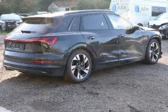 Audi E-tron e-tron (GEN), SUV, 2018 / 2023 55 quattro picture 3
