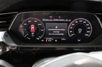 Audi E-tron e-tron (GEN), SUV, 2018 / 2023 55 quattro picture 16