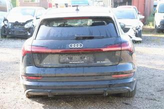 Audi E-tron E-tron (GEN), SUV, 2018 55 picture 4