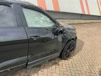 Audi Q3 Q3 Sportback (F3N), SUV, 2019 1.4 45 TFSIe 16V picture 22