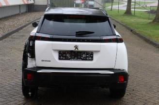 Peugeot 2008 2008 (UD/UK/UR/US/UX), MPV, 2019 1.2 VTi 12V PureTech 100 picture 4