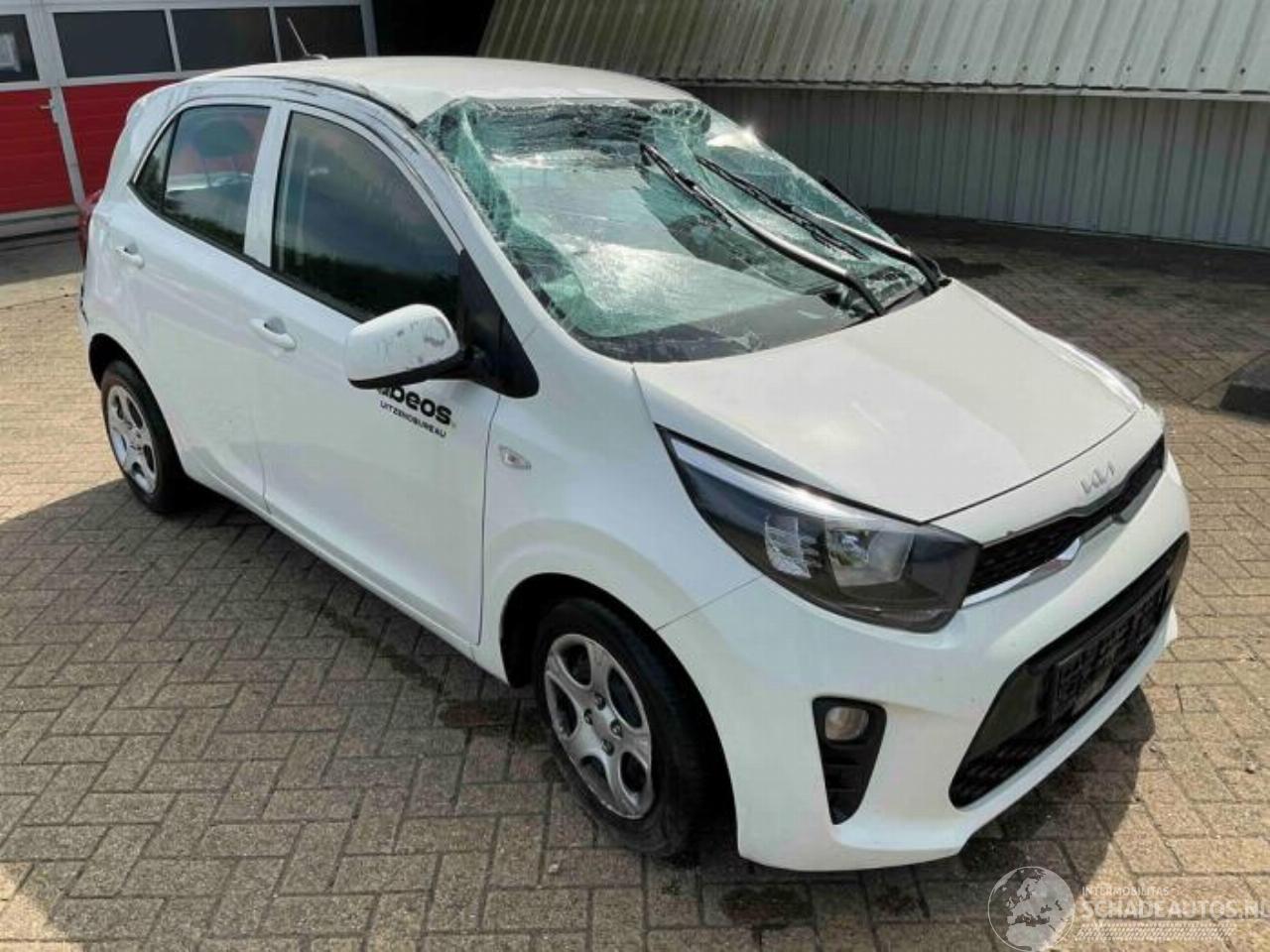 Kia Picanto Picanto (JA), Hatchback, 2017 1.0 DPi 12V