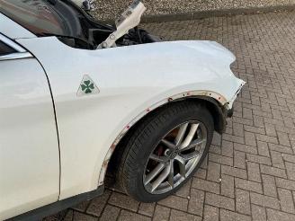 Alfa Romeo Stelvio Stelvio (949), SUV, 2017 2.0 T 16V Q4 picture 25