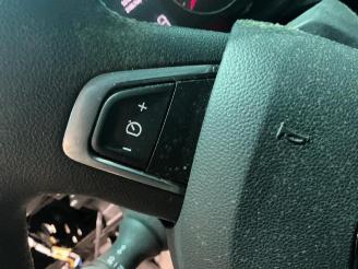 Renault Master Master III (EV/HV/UV/VA/VB/VD/VF/VG/VJ), Chassis-Cabine, 2010 2.3 dCi 165 16V RWD picture 23