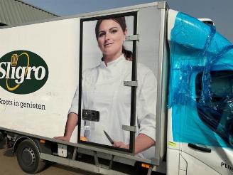 Renault Master Master III (EV/HV/UV/VA/VB/VD/VF/VG/VJ), Chassis-Cabine, 2010 2.3 dCi 165 16V RWD picture 28