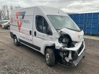Auto da rottamare Fiat Ducato Ducato (250), Bus, 2006 2.3 D 130 Multijet Minibus Extralongo 2019/8