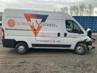 Fiat Ducato Ducato (250), Bus, 2006 2.3 D 130 Multijet Minibus Extralongo picture 8