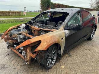 Tesla Model 3 Model 3, Sedan, 2017 Standard RWD Plus picture 6