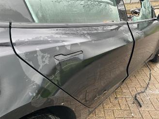 Tesla Model 3 Model 3, Sedan, 2017 Standard RWD Plus picture 13