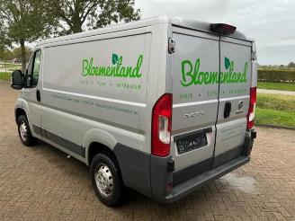 Fiat Ducato Ducato (250), Bus, 2006 2.3 D 130 Multijet Minibus Extralongo picture 5